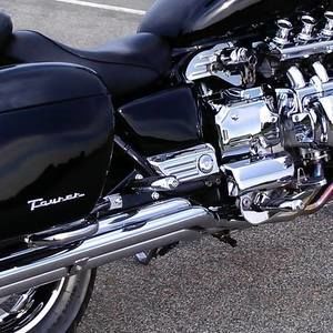 Meet your Posher, Wayne